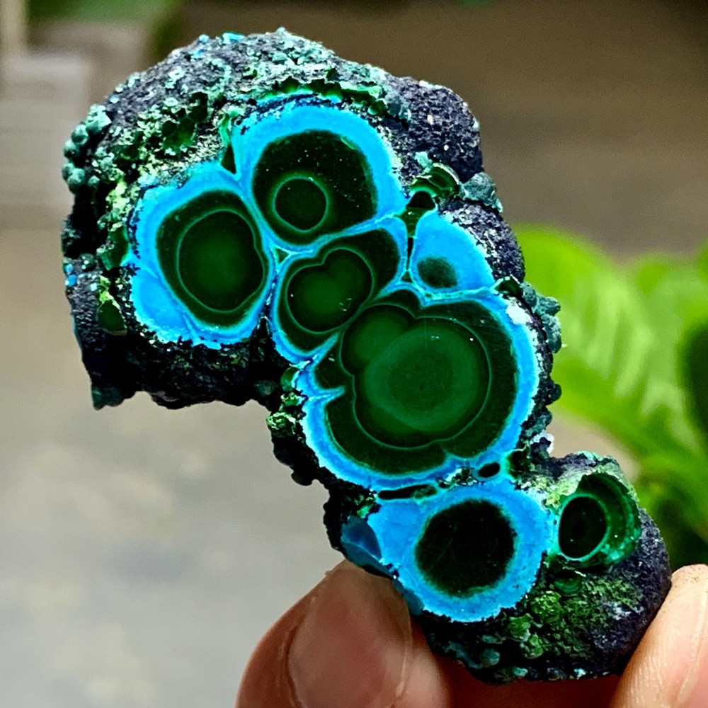 48G Natural Chrysocolla/Malachite transparent cluster rough mineral sample