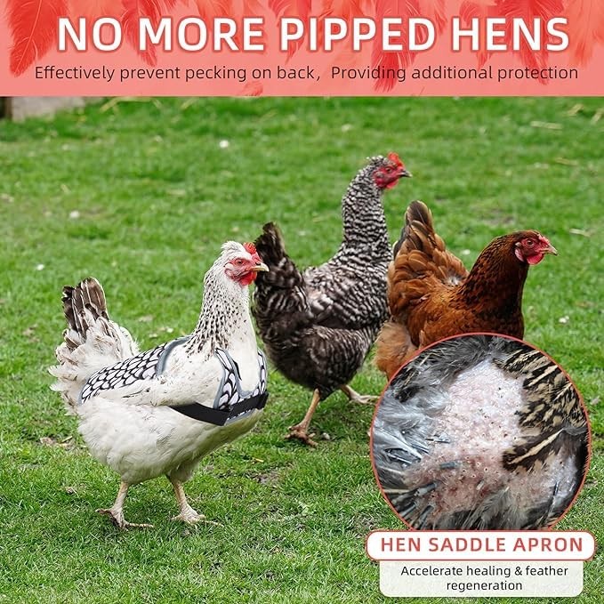 Chicken Saddles for hens, Apron Back Protector Hens With White