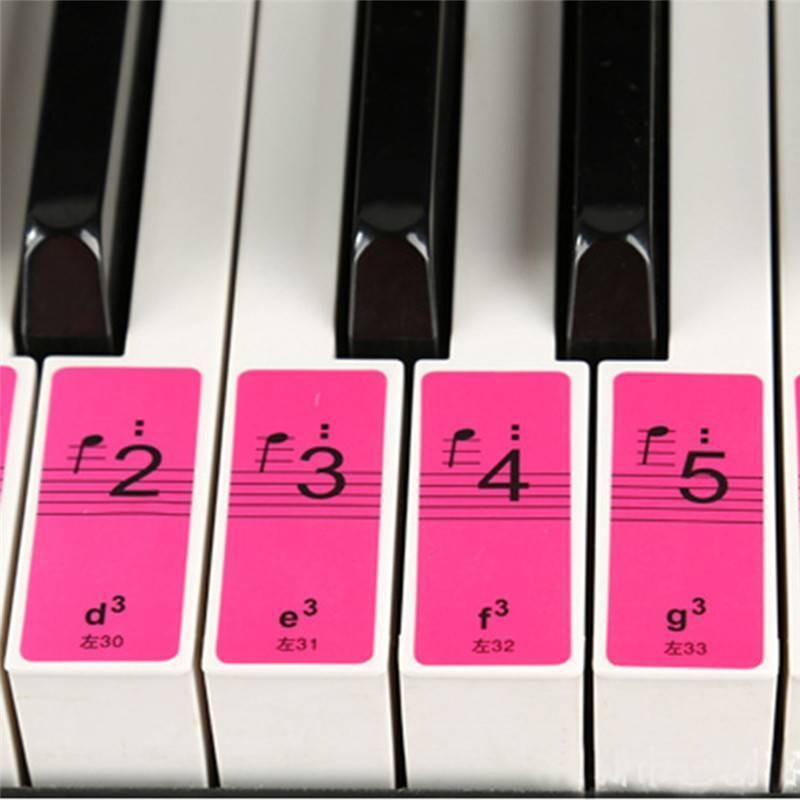 1Set 88-Key Electronic Keyboard Piano Learning Key Beginner Note Sticker Labels-