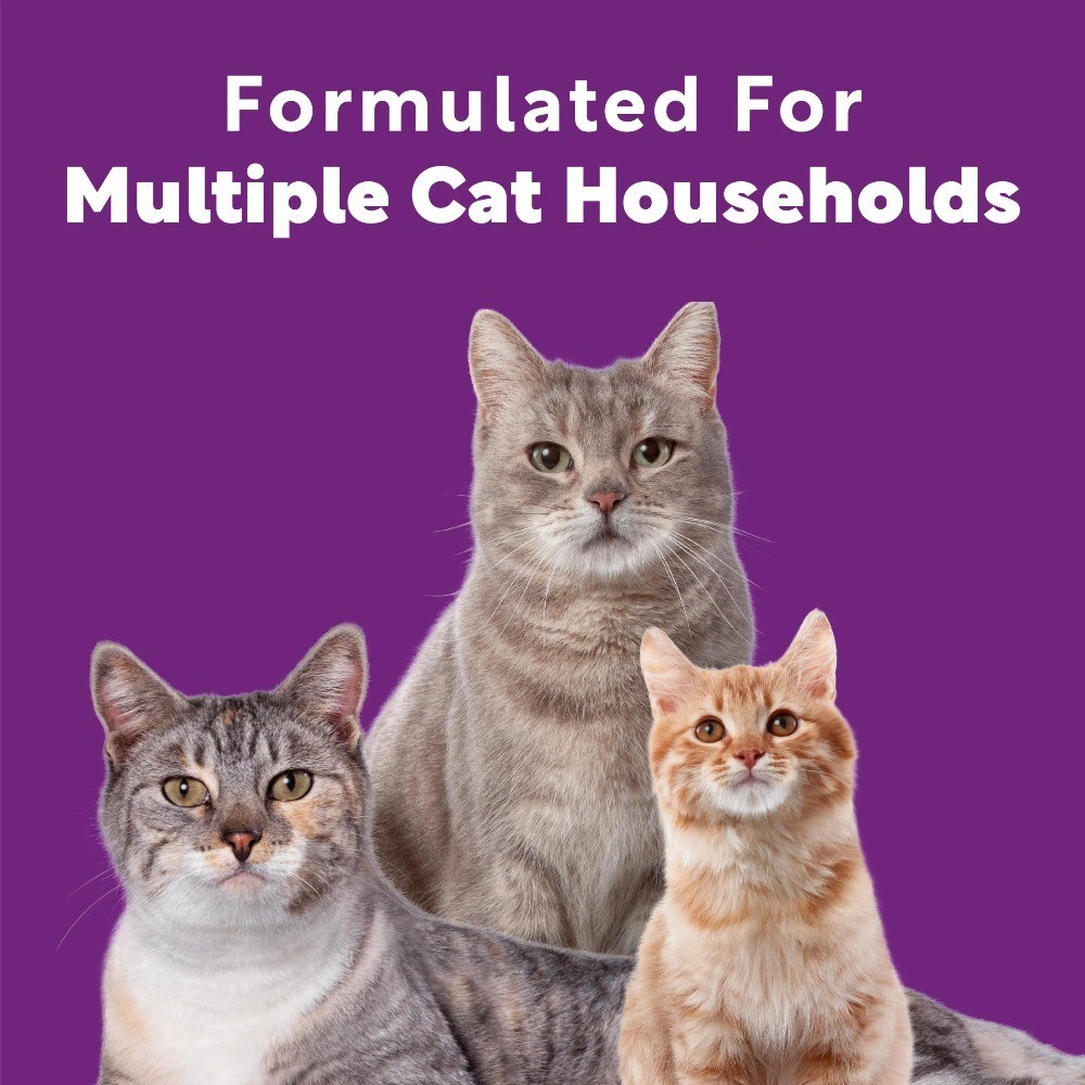 Multi Cat Litter with Meadow Fresh Scent 38 lb 3 Pack Odor Control Clumping
