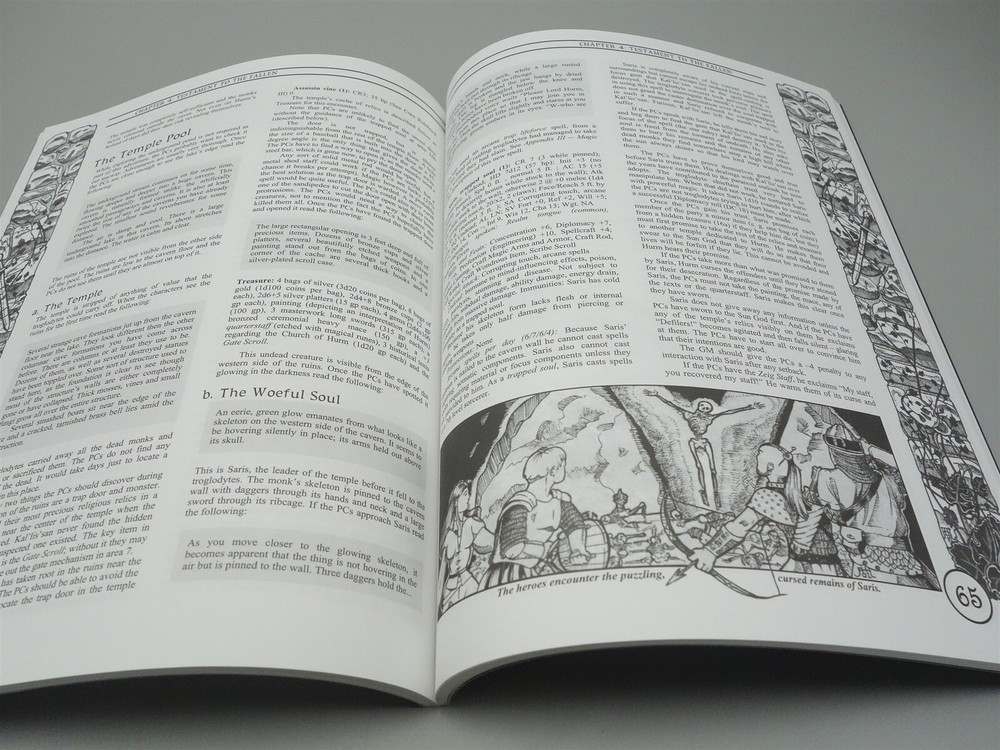 Dungeons & Dragons, DnD: White Robes, Black Hearts (d20 System)