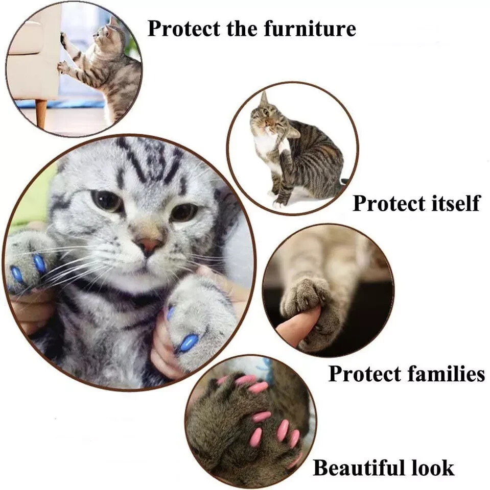 VICTHY Cat Nail Caps, 100pcs Medium Size 5 Colors with Glue Small, Multicolor