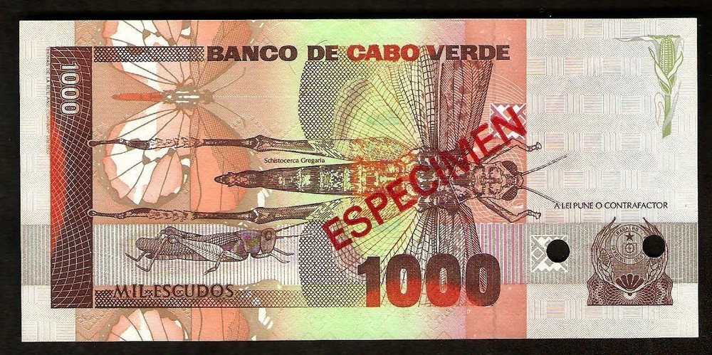 Cape Verde 1000 Escudos 1989 UNC Specimen
