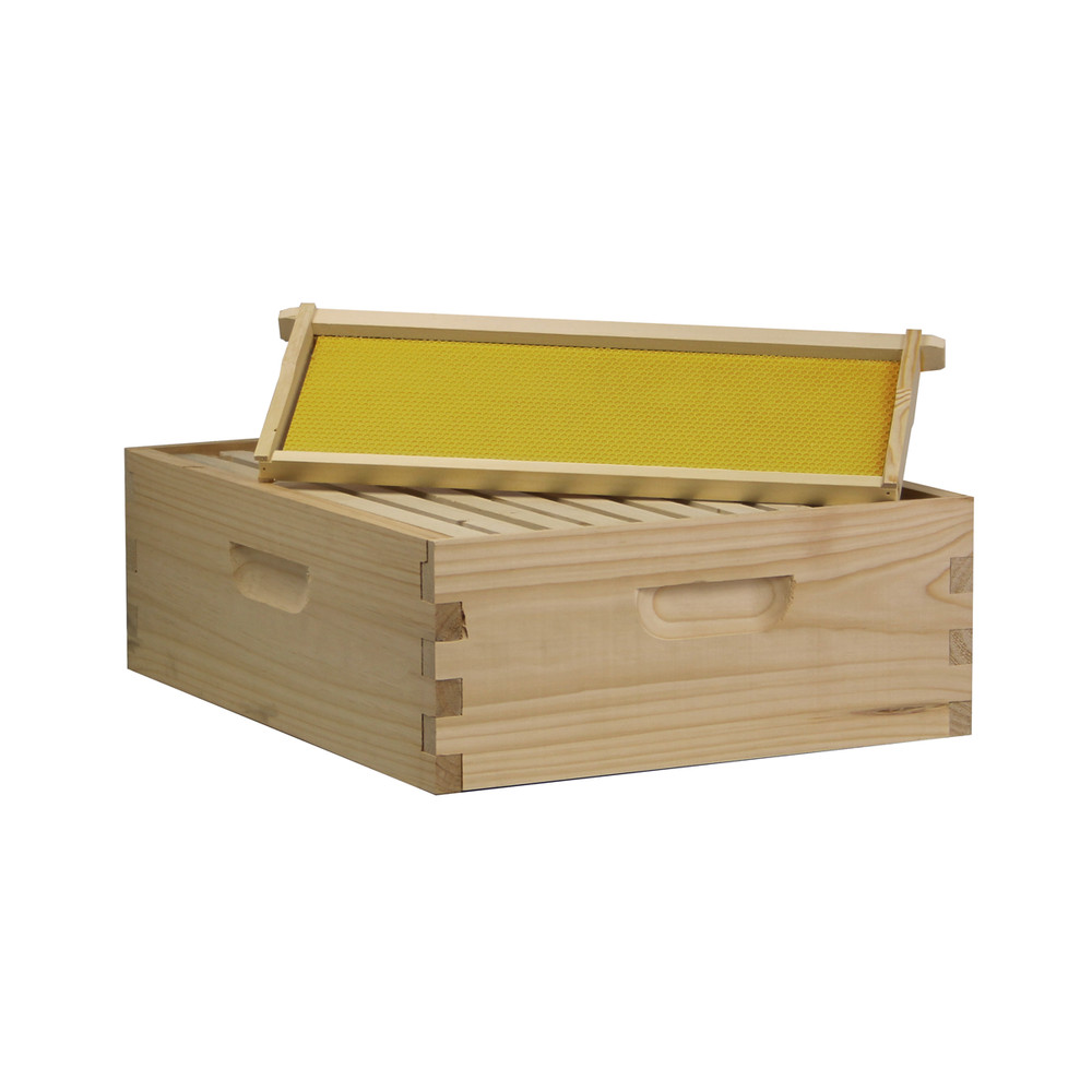 10 Frame Complete Beehive Kit – Amish-Made with 2 Deep & 1 Medium Boxes, Frames