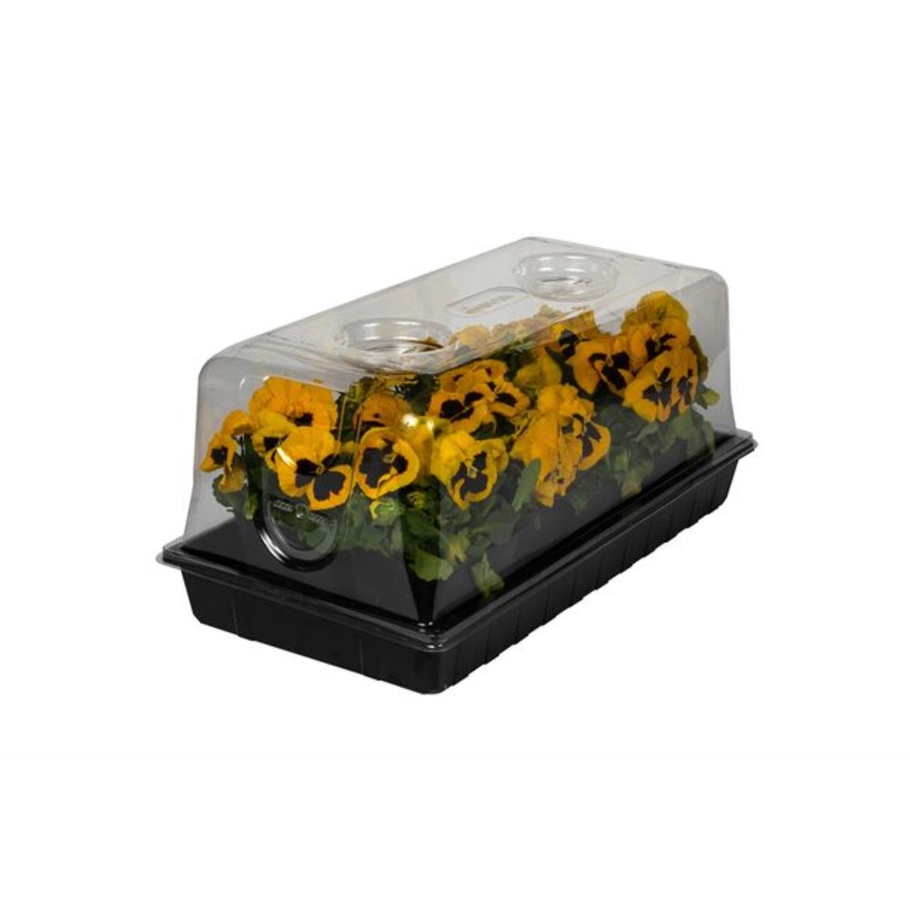 SunKit Mini-Greenhouse System For Germination and Propagation