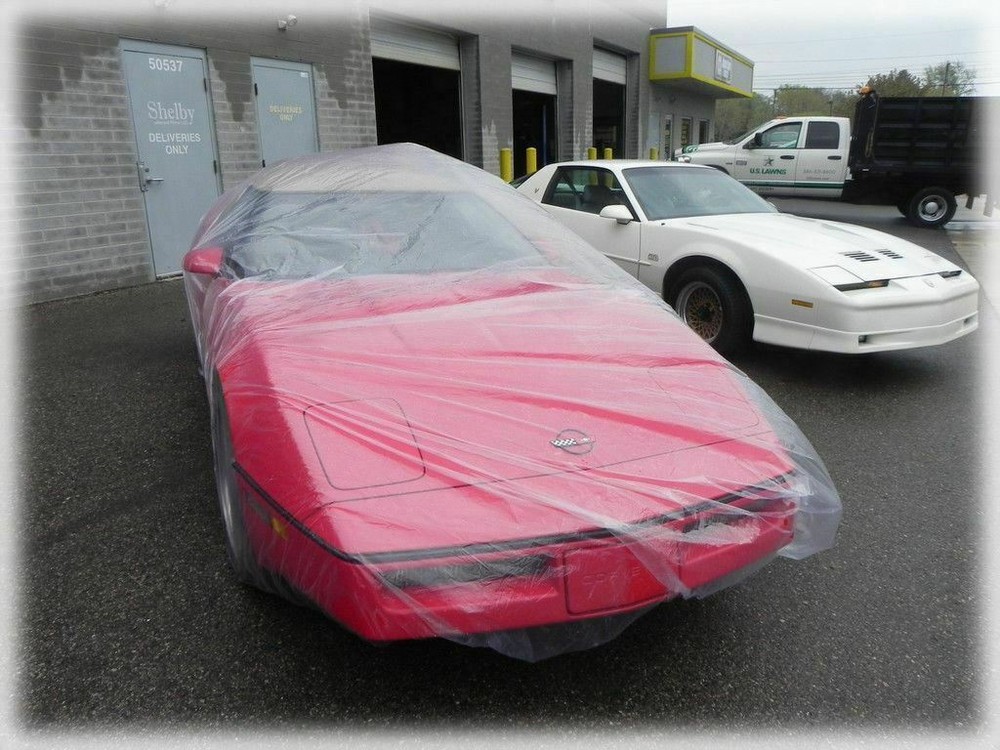Clear Plastic Disposable Car Cover Temporary Universal Garage Rain Dust 1 Pack
