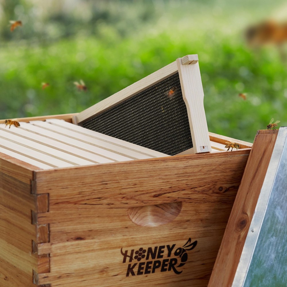 6" Bee Frame Foundations - Beeswax Coated Black Foundation Sheets for Medium ...