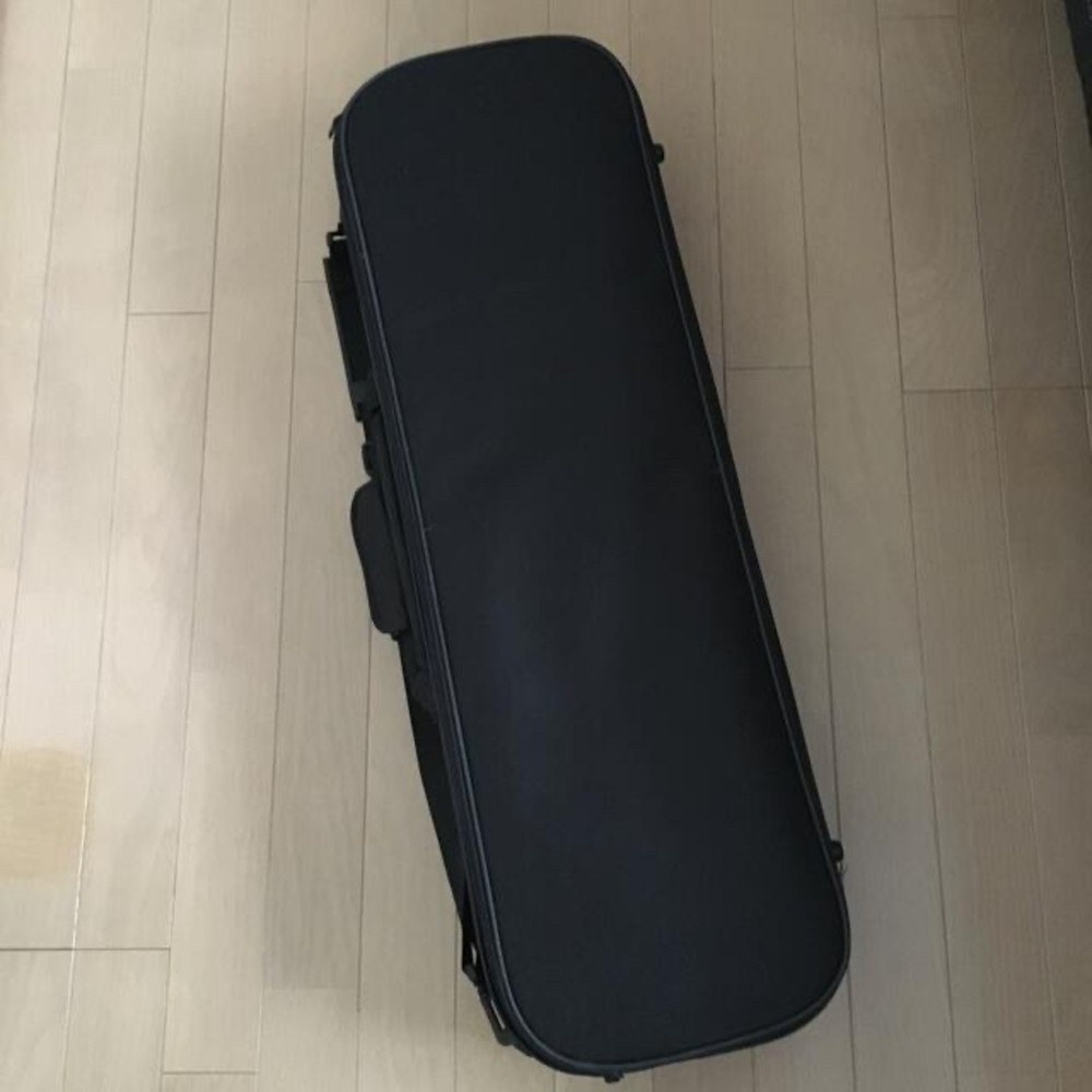 electric violin