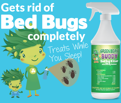 Non-Toxic Carpet Protector, Carpet Armor 32oz