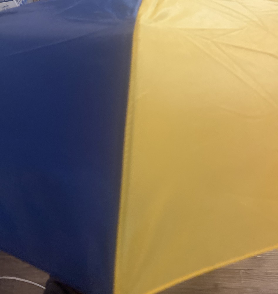 Aldi 2023 Capsule Collection Multicolor Striped Automatic Compact Umbrella NWT