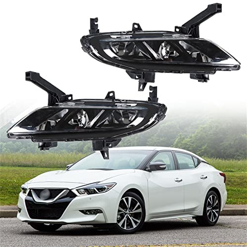 2-Pack Fog Light Assembly Driver and Passenger Side Replacement for Maxima
