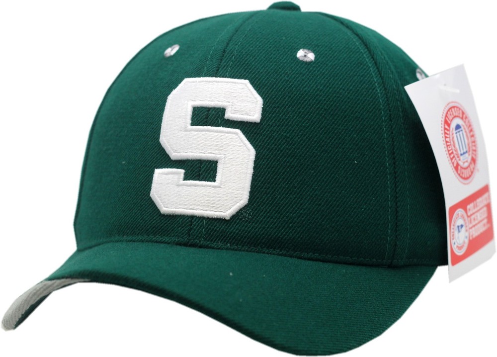 Michigan State Felt Spartans Hat  5998