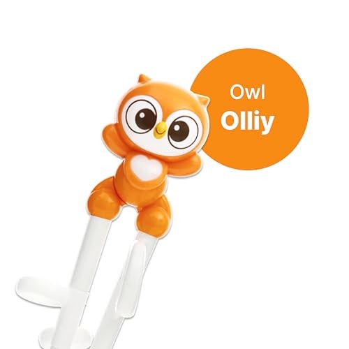 Chopsticks, Training Chopsticks, Learning, Beginner, Brain Training, Owl