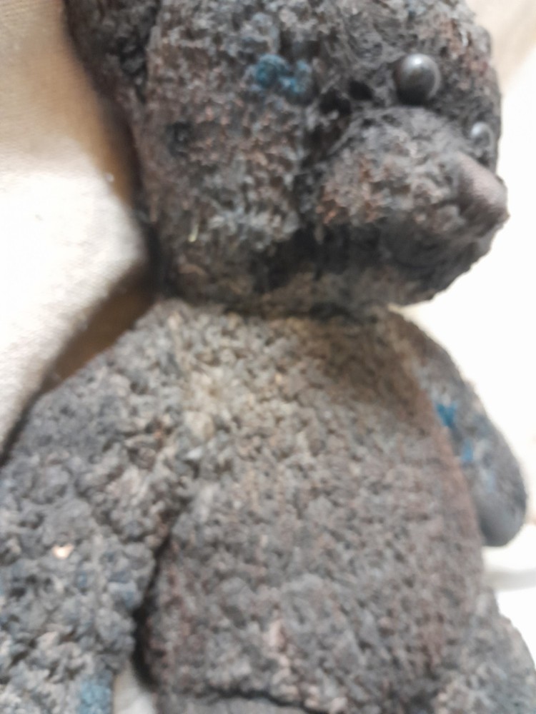 Brown Bear / Haunted Doll / READ DESCRIPTION