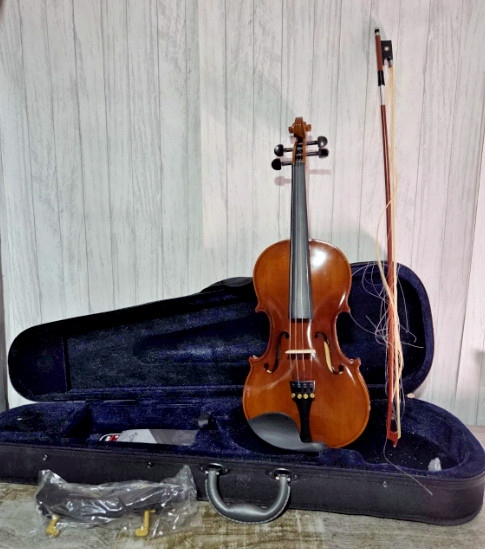 Pyle Solid Wood Violin Stringed Instrument-Student Grade Violin w/ Accessory Kit