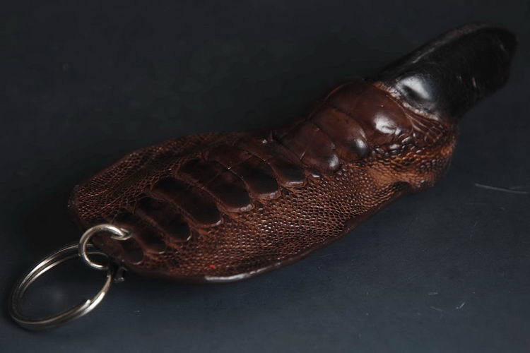 Artificial rearing Ostrich paw Chain