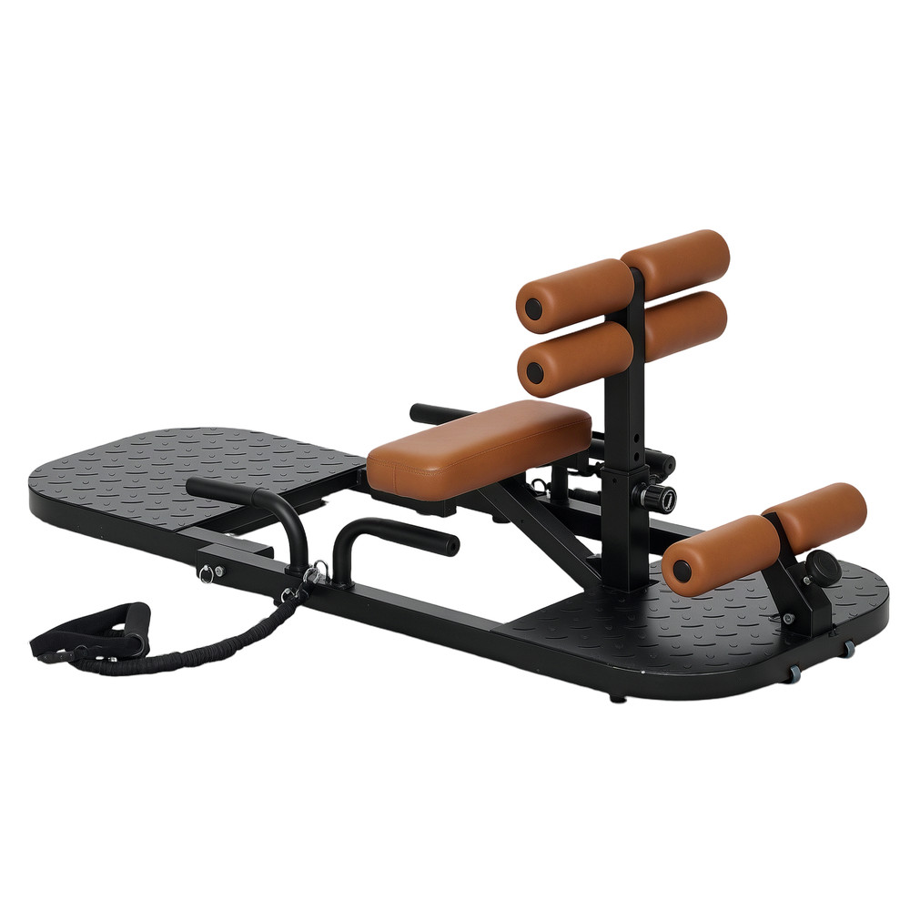 Sissy Squat Machine Hip Thrust Machine with Push Up Stand, Black