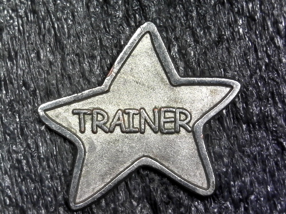 Star Trainer Medallion Medal Token 26mm (c162)
