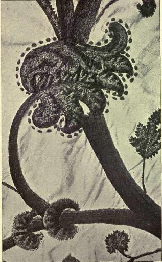 Art In Needlework Book 1907 needle work embroidery