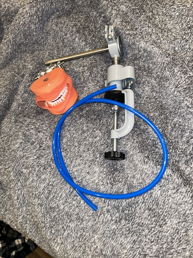 Dental Typodont Training Model Mount Kit