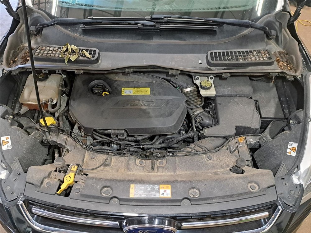 2014 Escape Jack Sku#4197276