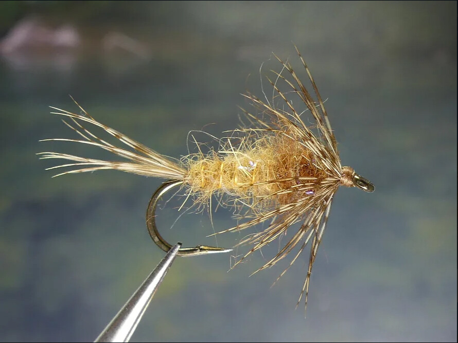 6 Flies - Brown Hackle