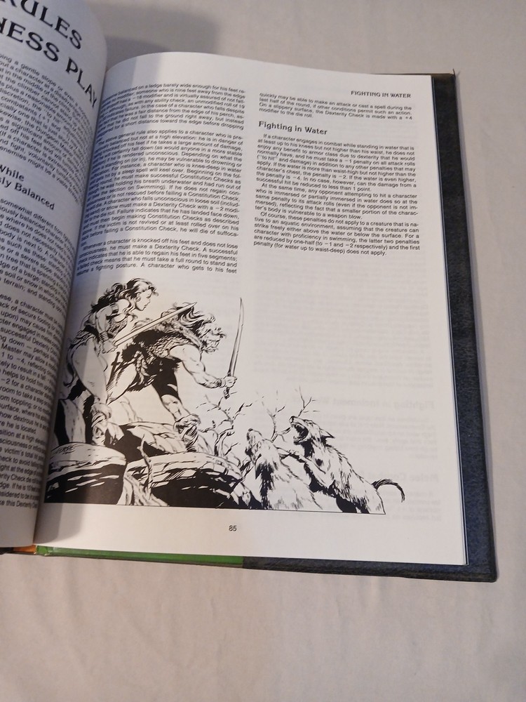 Advanced Dungeons & Dragons Lot Dungeoneer's & Wilderness Survival Guide, DMG
