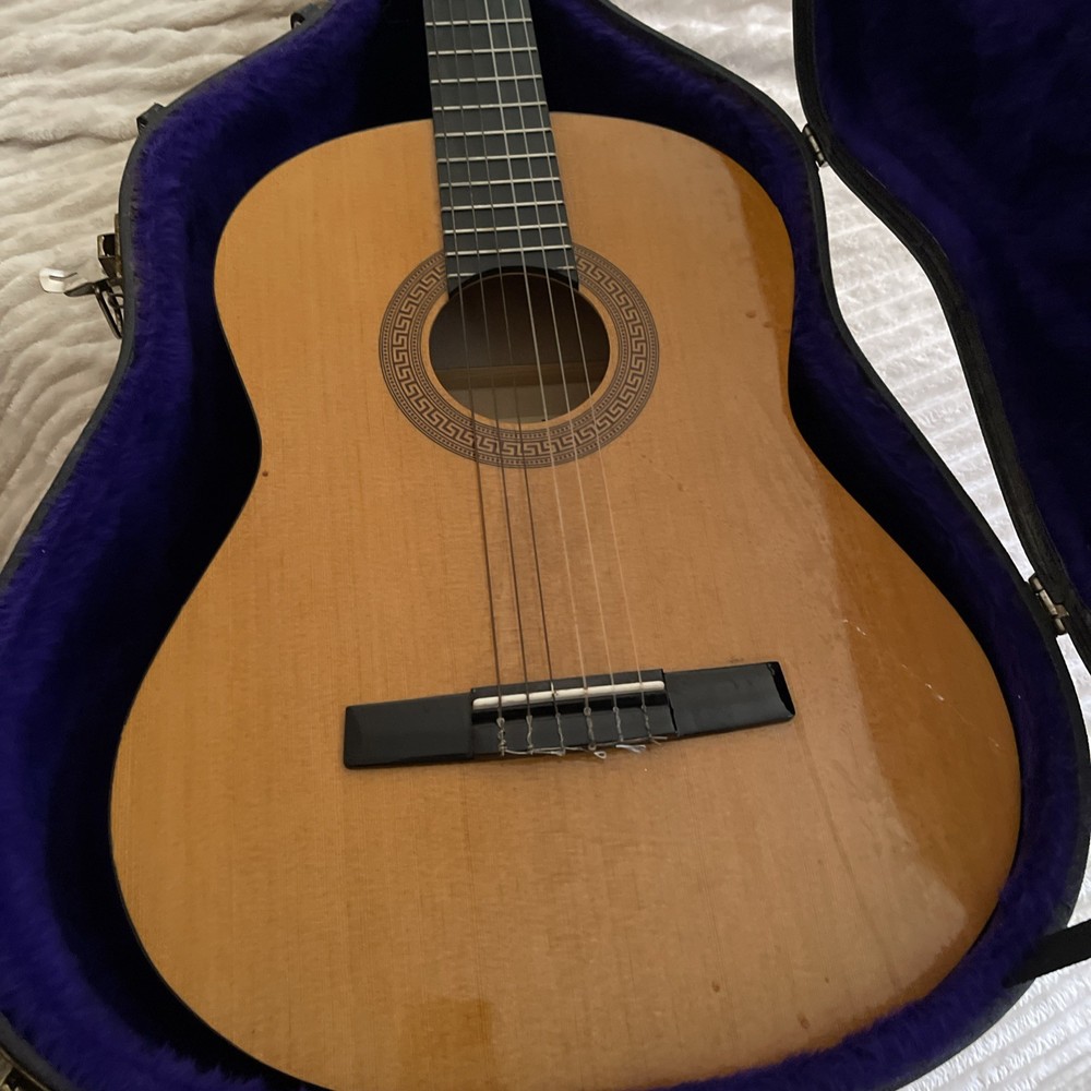 Horner Acoustic Guitar HC06