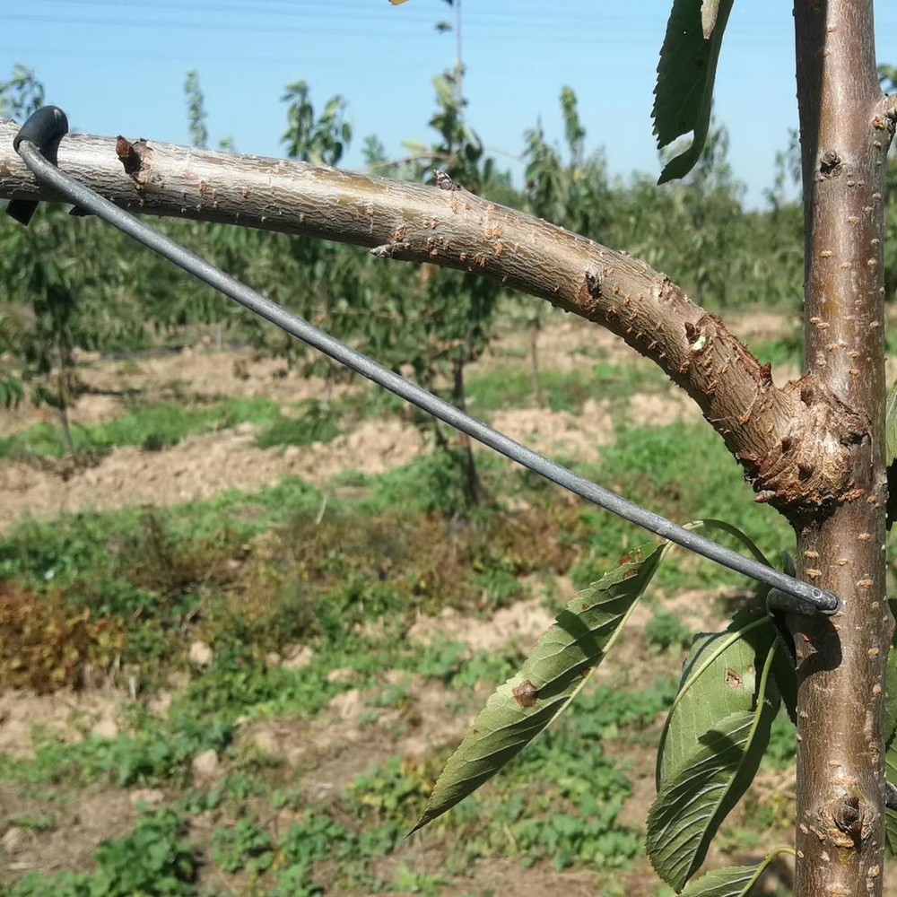 Fruit Tree Branch Limb Spreader 20PCS Limb Spreader Versatile Durable Solutio...