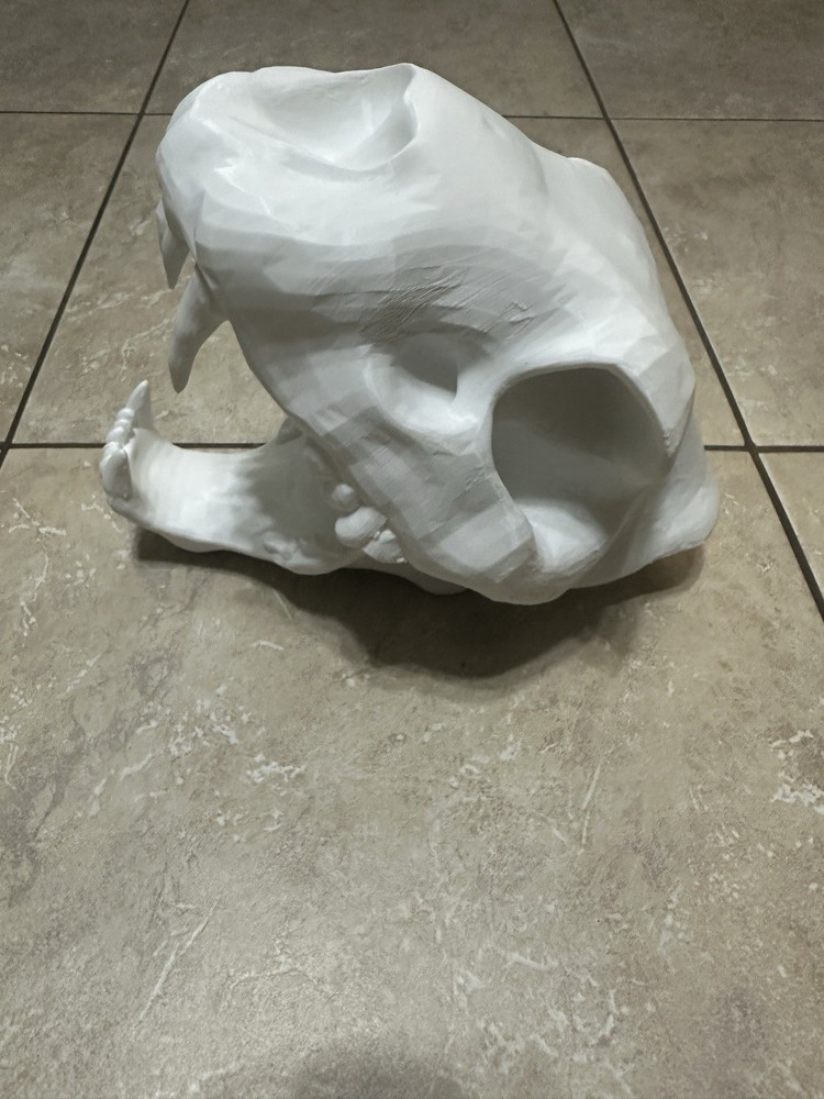 Lion Skull Replica 11x9 Inches 3D Printed