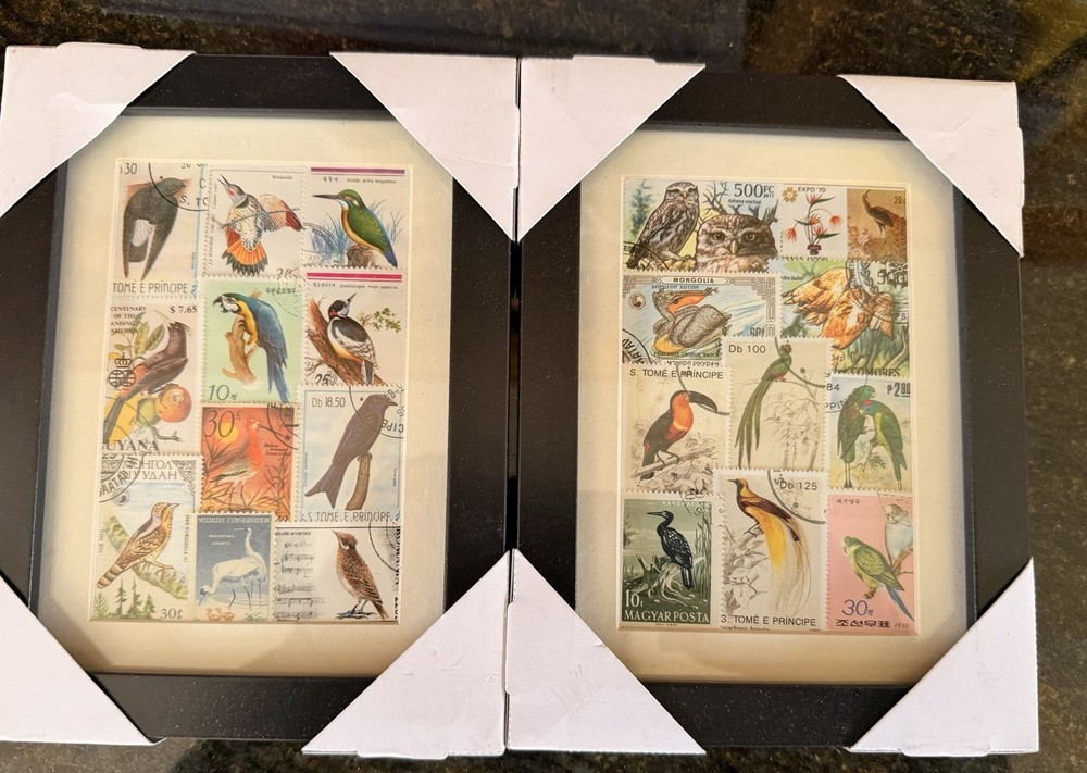 Bird Birding Postage Stamp Art Framed Pair 8x 6 Frames
