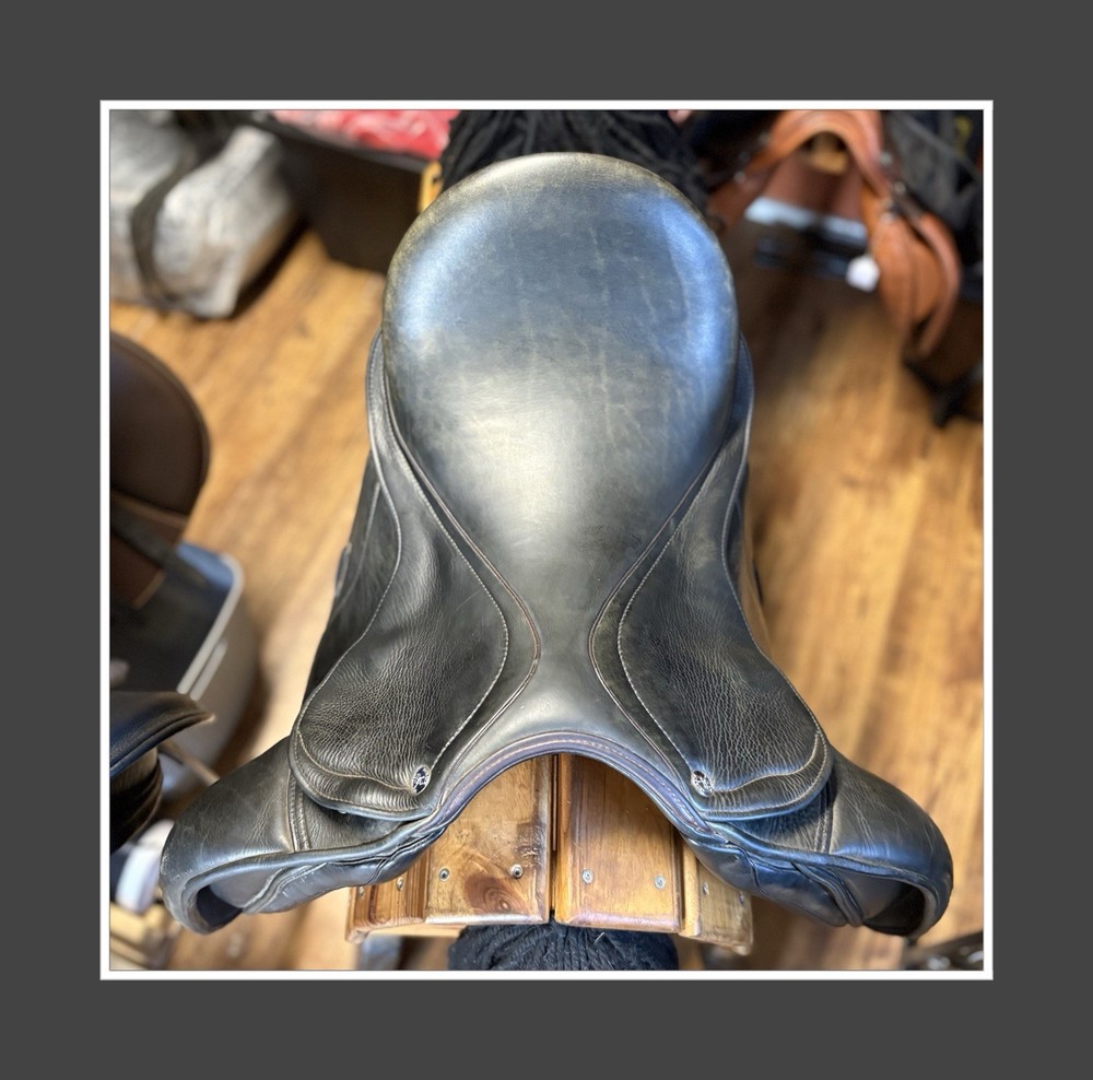 Patrick Saddlery “Juno” HOOP TREE. 17.5” XXW