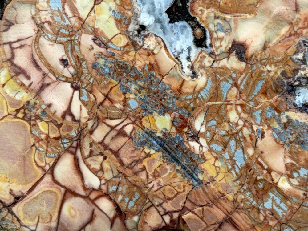 Cold Mountain Jasper Half Nodule, Lot#203