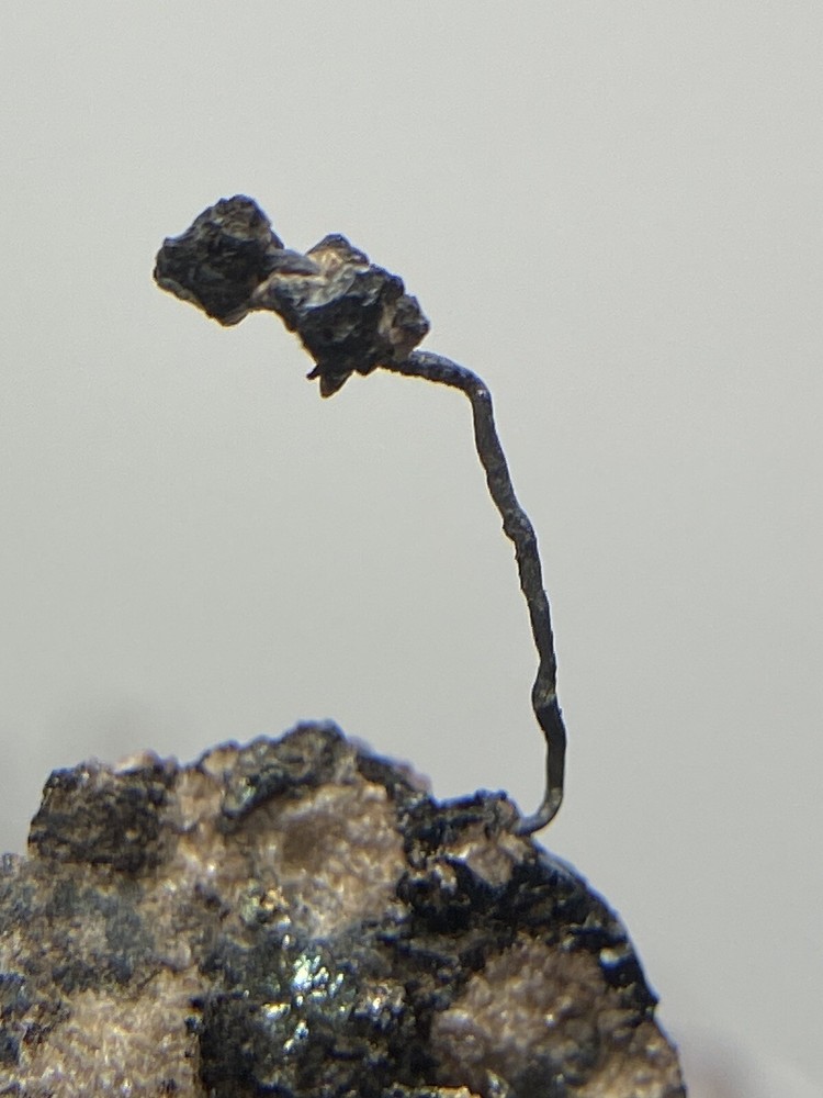 Silver Wire On Matrix - Uchucchacua Mine, Peru - Thumbnail