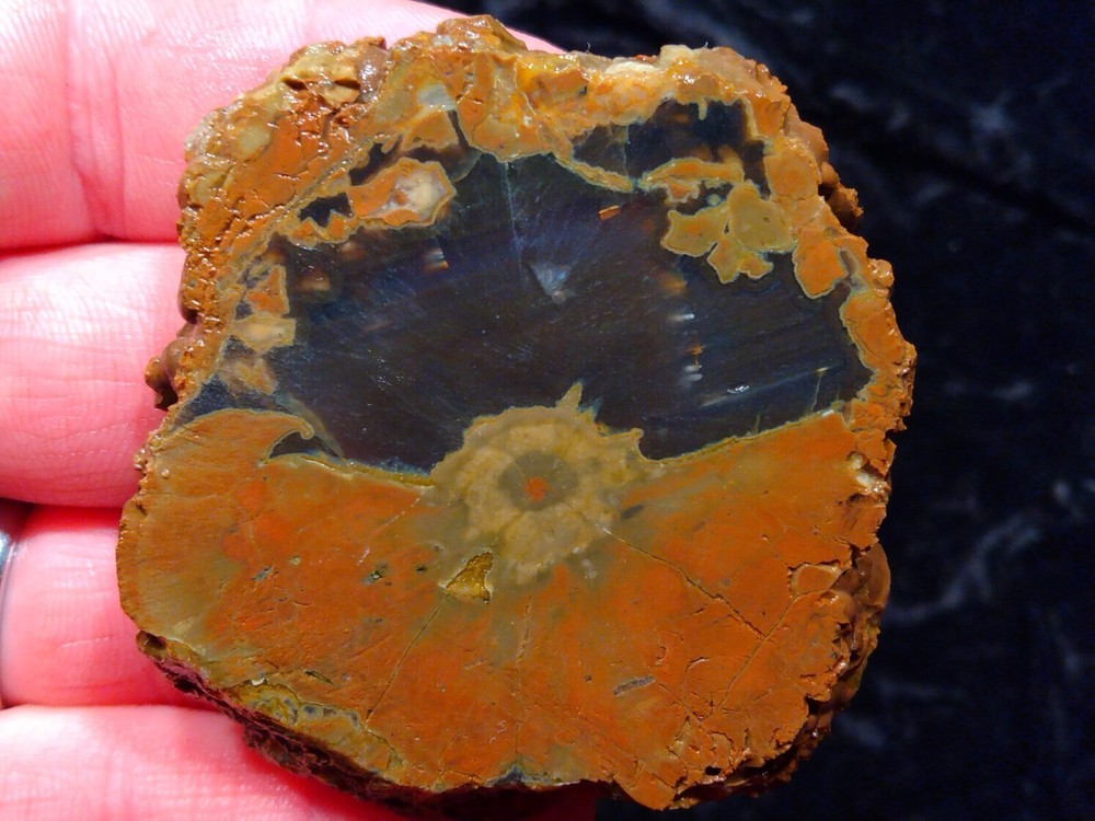 Richardson Ranch Waterline Agate Rough Slab