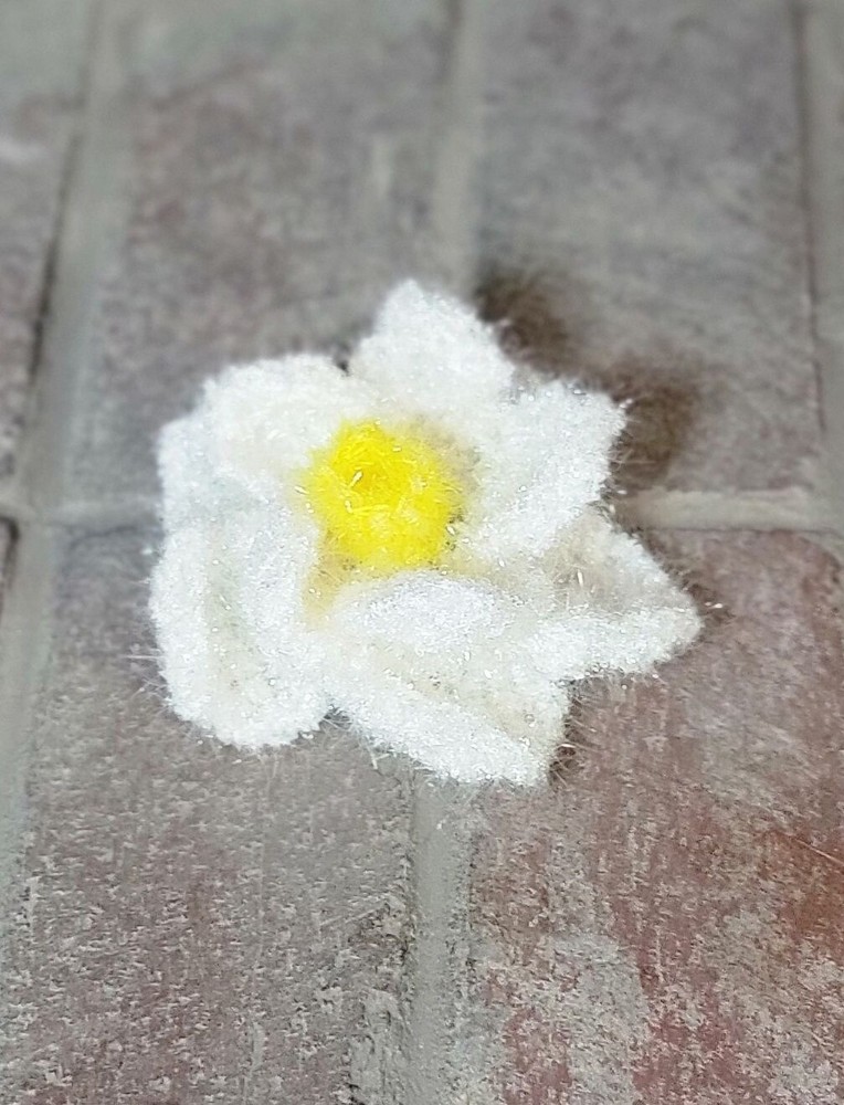 White and Yellow Flower Scrubby