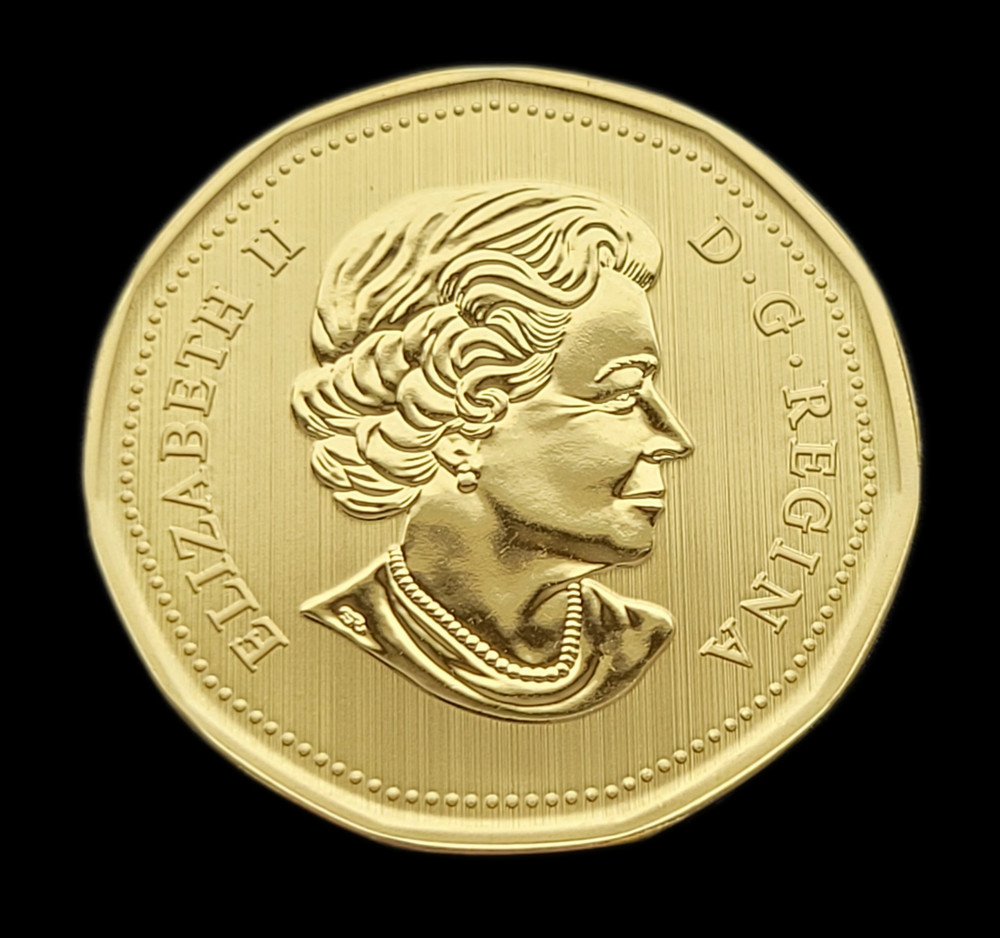***CANADA LOONIE 2022 *** SWIFT FOX ***