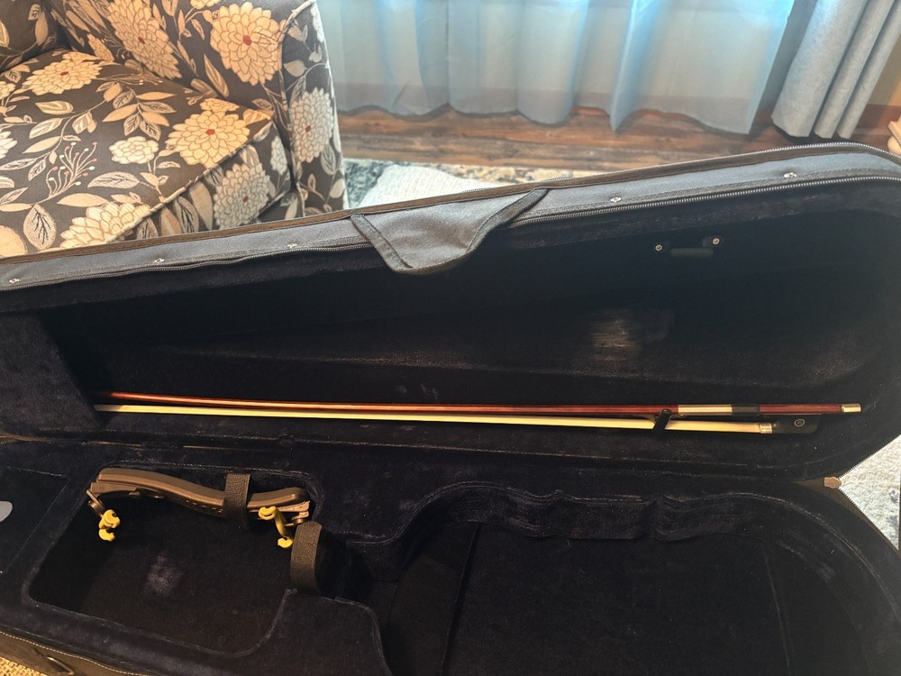 Eastman VA305 2020 Viola 15