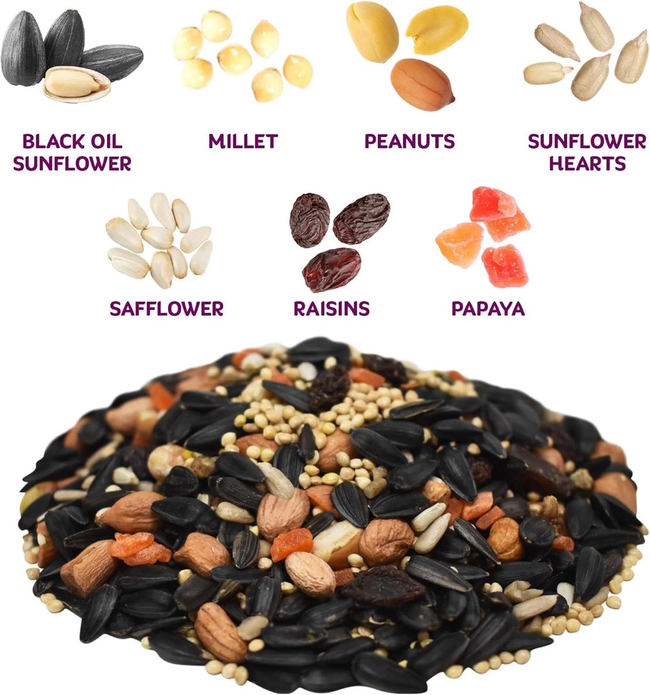 Nut & Fruit Wild Bird – 8 lb. Premium Blend with