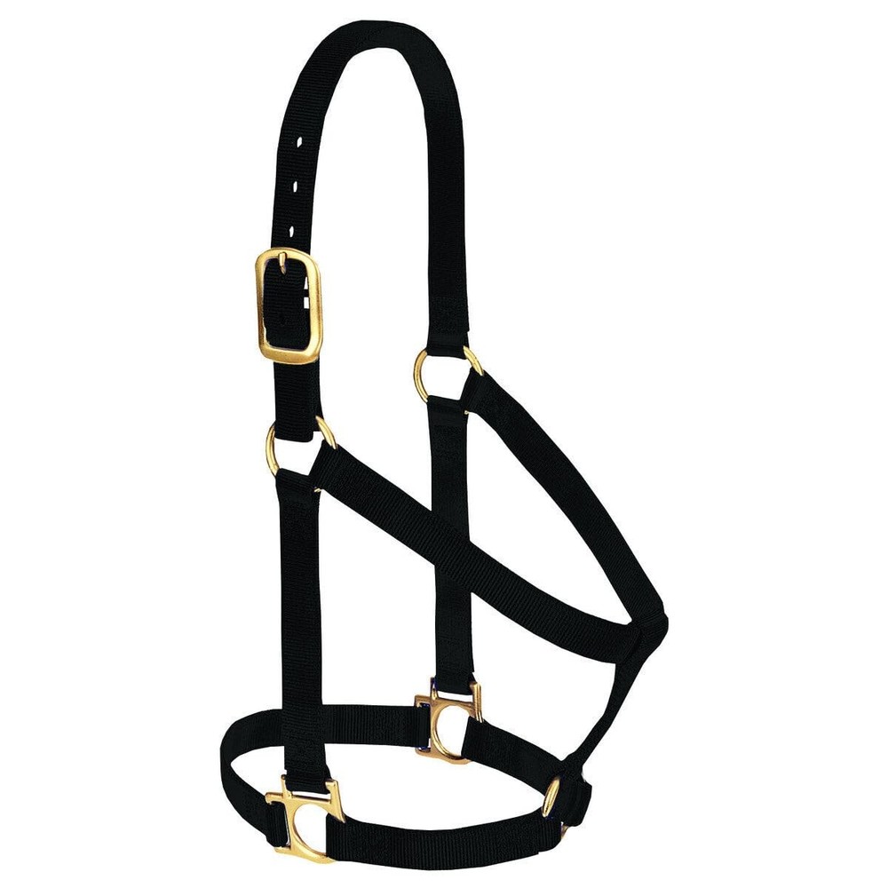 Weaver Leather Basic Non-Adjustable Nylon Horse Halter