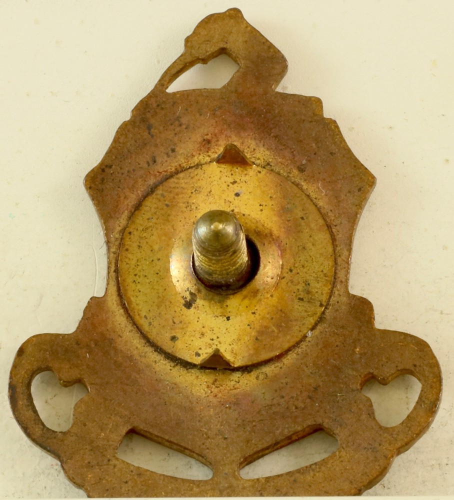 241st Coast Artillery Battalion Crest DI/DUI Screwback