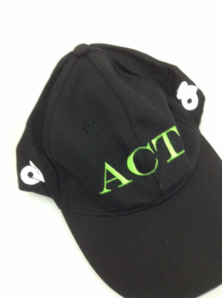 Champion System Flex Fit Hat Cap Act (5617-19)