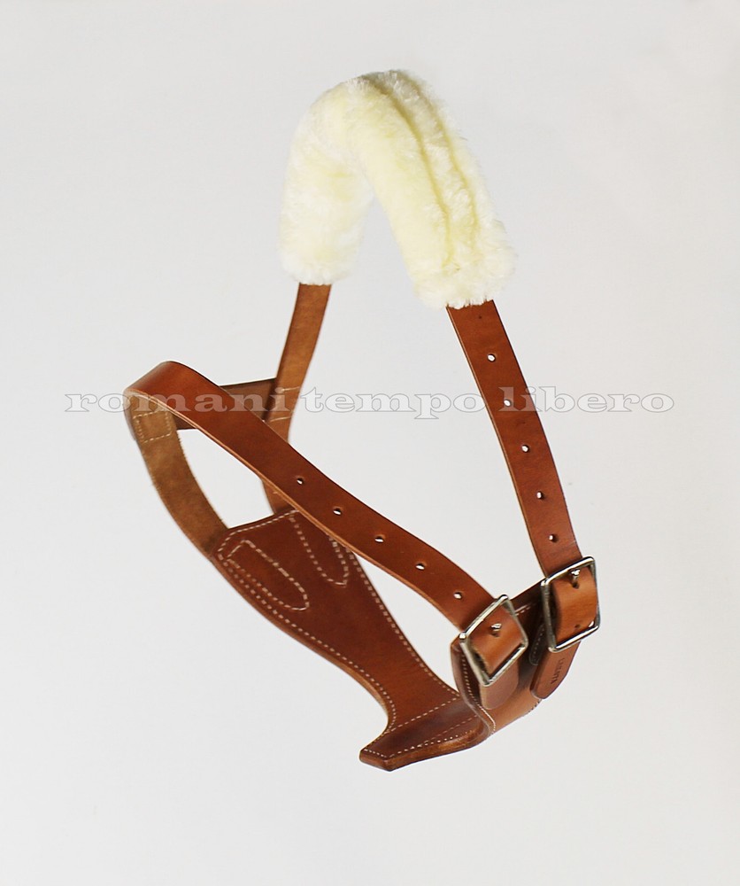 Leather Horse Anti Cribbing Collar