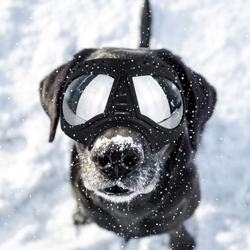 Dog Goggles Large Breed UV Windproof Snowproof Eye Protection Adjustable Strap