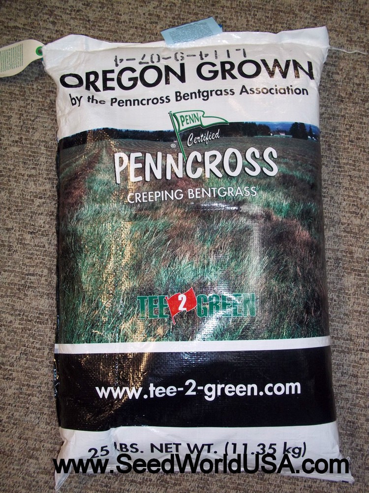 Penncross Creeping Bentgrass Seeds - 2 Lbs. (Certified)