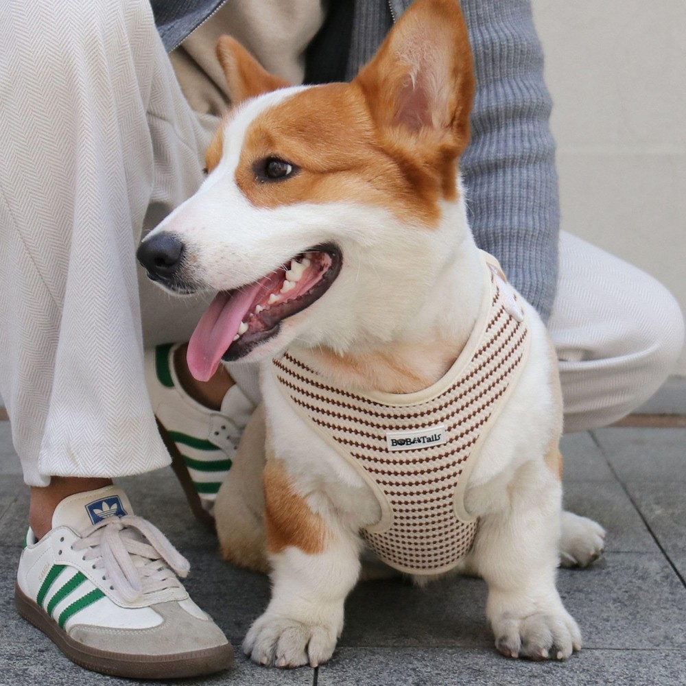 Small Grain Dog Harness with D-Ring Leash Clip SetAdjustable Soft Padded and ...