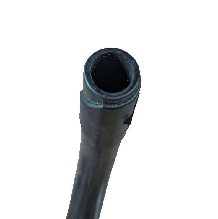 SEA QUEST SNORKEL ONLY