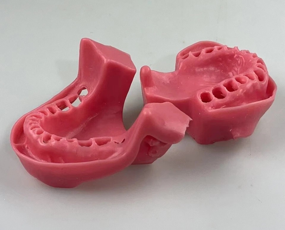Dental Anesthesia Tooth Extraction/Removal Practice Model Dentist Training Gum