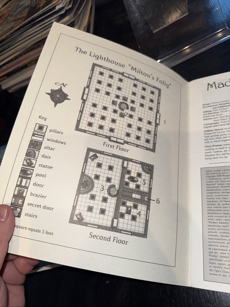 Dungeons & Dragons Madness in Freeport D20 Green Ronin