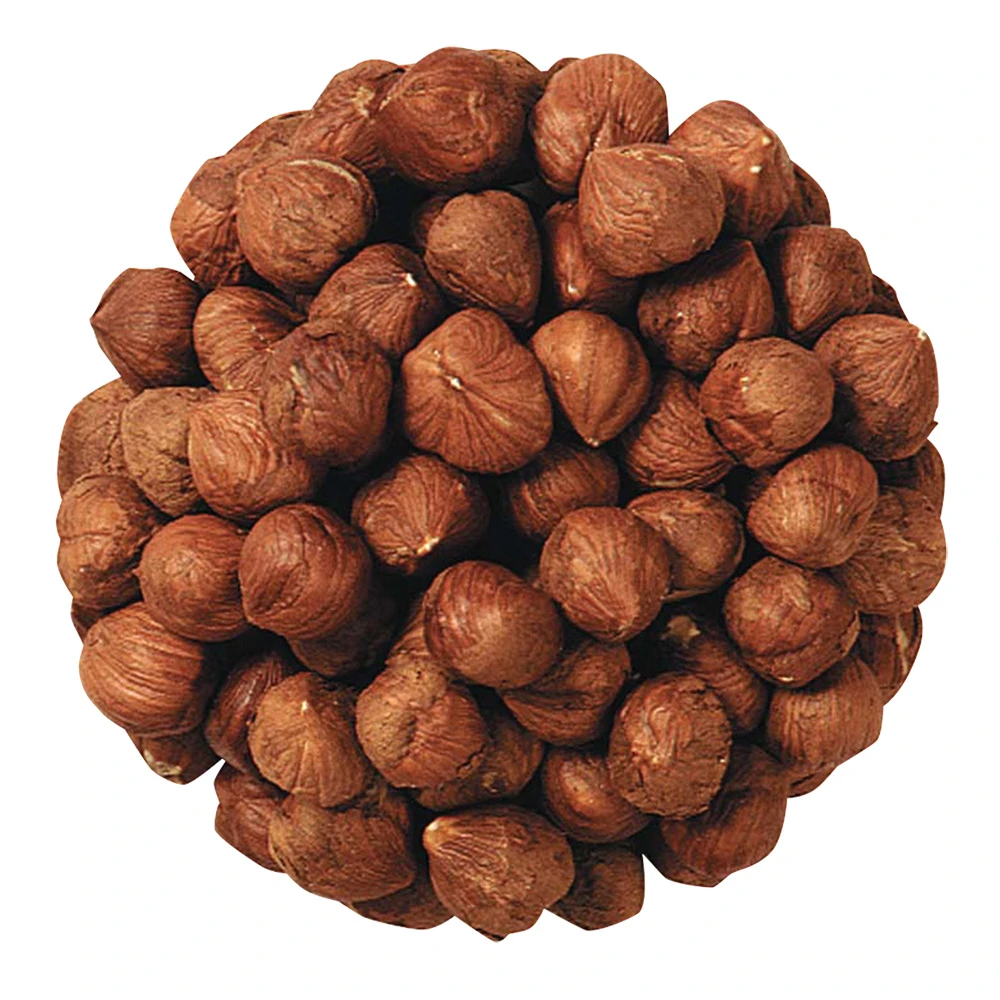 Unblanched Hazelnuts, High Quality Hazelnuts 8oz TO 5lb